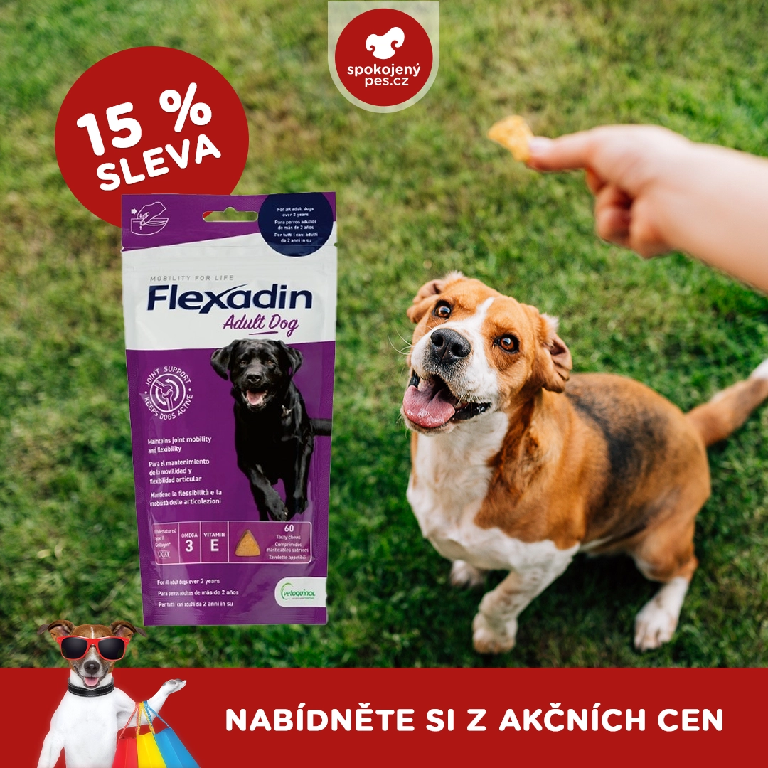 dog flexadin.webp